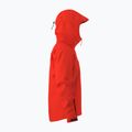 Vyriška striukė nuo lietaus Arcteryx Beta SL dynasty 4