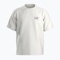 Vyriški marškinėliai Arc'teryx Kragg Cotton Logo white light / soul