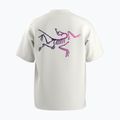 Vyriški marškinėliai Arc'teryx Kragg Cotton Logo white light / soul 2
