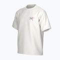 Vyriški marškinėliai Arc'teryx Kragg Cotton Logo white light / soul 3