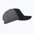 Arc'teryx Bird Word Trucker beisbolo kepuraitė juoda /cloud 4