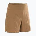Trekkingo šortai Arc'Teryx Aestas canvas 6