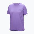 Moteriški marškinėliai Arc'teryx Kragg Sl Cotton Emblem Crew aster 6