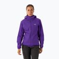 Moteriška pašiltinta striukė Arcteryx Atom Hoody azalea