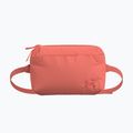 Maža rankinė Arcteryx Heliad 2,5 l reef