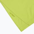 Vyriški marškinėliai Arcteryx Cormac Logo mantis 3