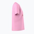 Moteriški marškinėliai Arcteryx Kragg SL Cotton Heatmap Crew pineberry 4