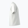 Vyriški marškinėliai Arcteryx Kragg Cotton Emblem Crew SS white light 11