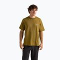 Vyriški marškinėliai Arcteryx Kragg Cotton Logo SS bracken