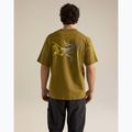 Vyriški marškinėliai Arcteryx Kragg Cotton Logo SS bracken 3