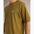 Vyriški marškinėliai Arcteryx Kragg Cotton Logo SS bracken 7