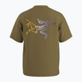 Vyriški marškinėliai Arcteryx Kragg Cotton Logo SS bracken 9