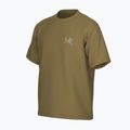 Vyriški marškinėliai Arcteryx Kragg Cotton Logo SS bracken 10