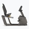 Stacionarus dviratis Matrix Fitness Recumbent Bike R50XIR-02 graphite grey