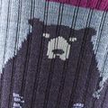 Moteriškos kojinės Darn Tough Bear Town Micro Crew Cushion purple 2
