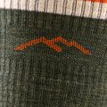 Vyriškos kojinės Darn Tough Hiker Boot Sock Cushion olive 2