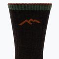 Vyriškos kojinės Darn Tough Hiker Micro Crew walnut 3