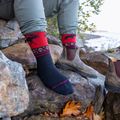 Vyriškos kojinės Darn Tough VanGrizzle Boot Sock Cushion moose black 5
