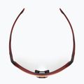 Saulės akiniai Rudy Project Thunder frozen bordeaux matte/multilaser red 6