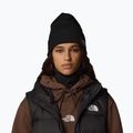 The North Face Dock Worker Recycled žieminė kepurė juoda NF0A3FNTJK31