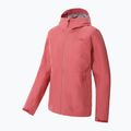 Moteriškos striukės nuo lietaus The North Face Dryzzle Futurelight pink NF0A7QAF3961 9