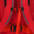 Arc'teryx Alpha FL 30 l dynasty vyriška alpinistinė kuprinė 5