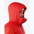 Vyriška pūkinė striukė Arcteryx Alpha Parka dynasty 4