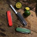 Daugiafunkcinis įrankis Nextool Mini Pocket Knife black 5