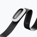 Širdies ritmo jutiklis iGPSPORT HR50