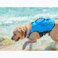 Šuns saugos liemenė Aquatone Pawsome Pet Safety Vest blue 12