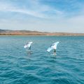 Wingfoil sparnas Aztron Soar 4.0 Air Wing 5