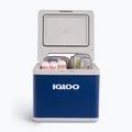 Turistinis šaldytuvas Igloo Hybrid Cooler IH45 43 l blue 9