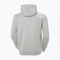 Vyriškas džemperis Helly Hansen HH Logo Hoodie grey/melange 2