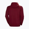 Vyriška Helly Hansen HH Logo Hoodie bordo 33977_215 5