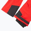 Moteriškos slidinėjimo kelnės Helly Hansen Legendary Insulated alert red 11