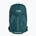Helly Hansen Generator 20 l turistinė kuprinė žalia 67341_436