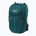 Helly Hansen Generator 20 l turistinė kuprinė žalia 67341_436 8