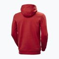 Vyriškas džemperis Helly Hansen HH Logo Hoodie red 2