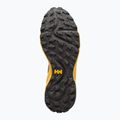 Helly Hansen Falcon Tr vyriški bėgimo bateliai orange 11782_300 16