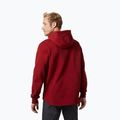 Vyriškas Helly Hansen Arctic Ocean Hoodie bordo spalvos 30361_215 2