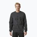 Vyriškas megztinis Helly Hansen Arctic Ocean Grey 30364_980