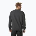Vyriškas megztinis Helly Hansen Arctic Ocean Grey 30364_980 2