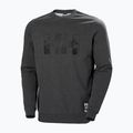 Vyriškas megztinis Helly Hansen Arctic Ocean Grey 30364_980 4