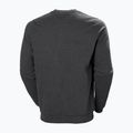 Vyriškas megztinis Helly Hansen Arctic Ocean Grey 30364_980 5