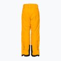 Helly Hansen vaikiškos slidinėjimo kelnės Elements yellow 41765_328 2