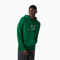 Helly Hansen vyriškas džemperis F2F iš organinės medvilnės su gobtuvu, žalias 62934_486 3