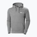 Helly Hansen vyriškas džemperis F2F Organic Cotton pilkos spalvos 62934_855