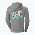 Helly Hansen vyriškas džemperis F2F Organic Cotton pilkos spalvos 62934_855 2