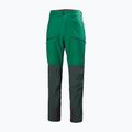 Helly Hansen vyriškos trekingo kelnės Verglas Tur green 63000_486 4