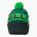 Helly Hansen Ridgeline kepurė žalia 67150_495 2